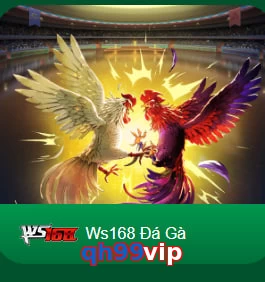 qh99vip